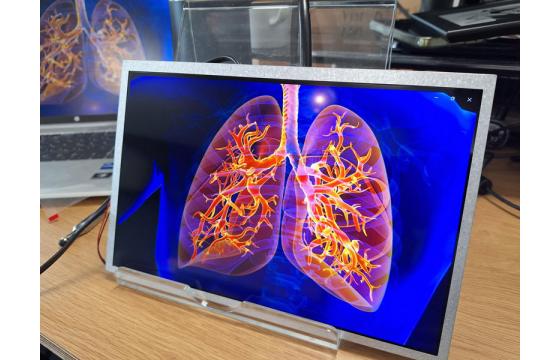 10.1" IPS TFT LCD Display with QD Film and HDMI Board