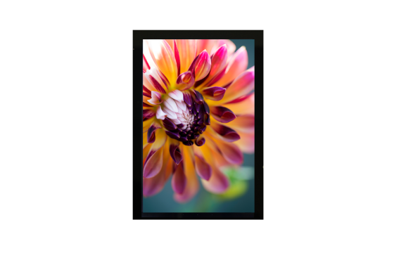 8.0" IPS TFT LCD Display MIPI interface + CTP