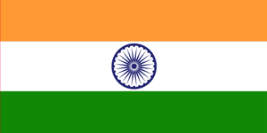 Indian flag - Anders in India