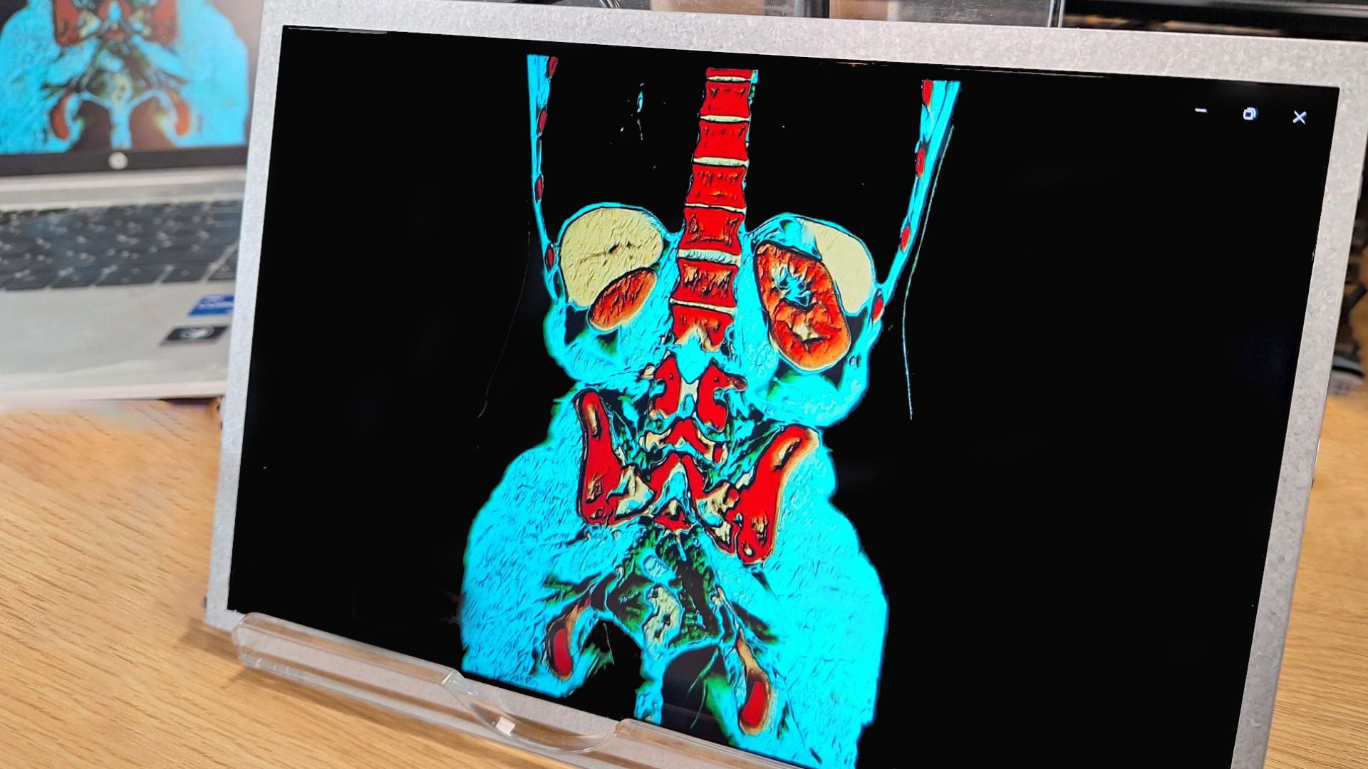 Quantum dot enhancement film gives superior colour reproduction